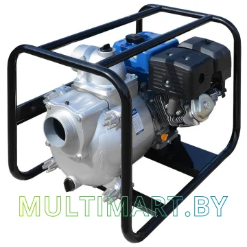 Мотопомпа ТСС PGST100 картинка 2